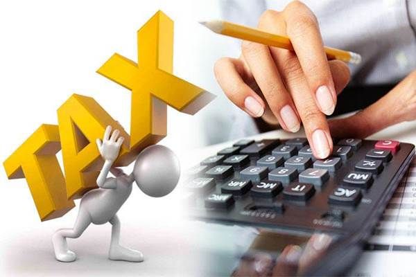 Mengurai Benang Kusut Perpajakan Perusahaan Non-PKP di Era Coretax
